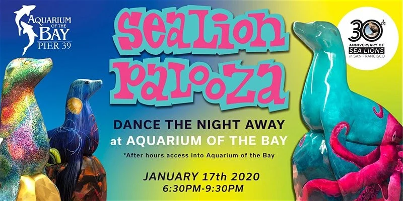 SeaLionPalooza at Aquarium of the Bay