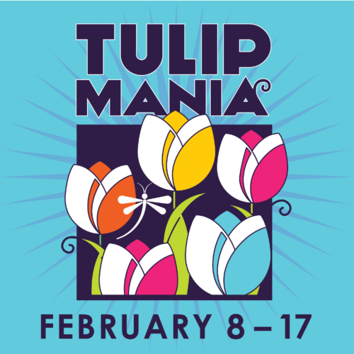 Tulip Mania