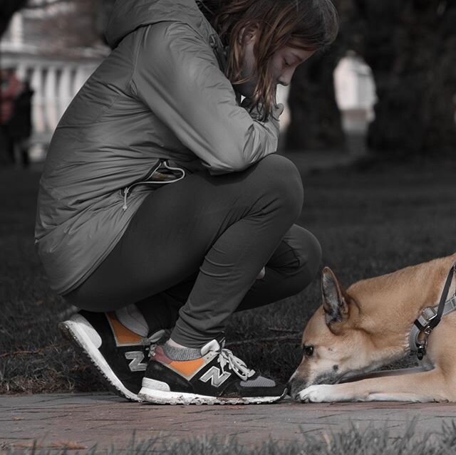 Walk in the park
#dog #walking #coronalife #uw @wonderwalker_co @seattlephotoclub