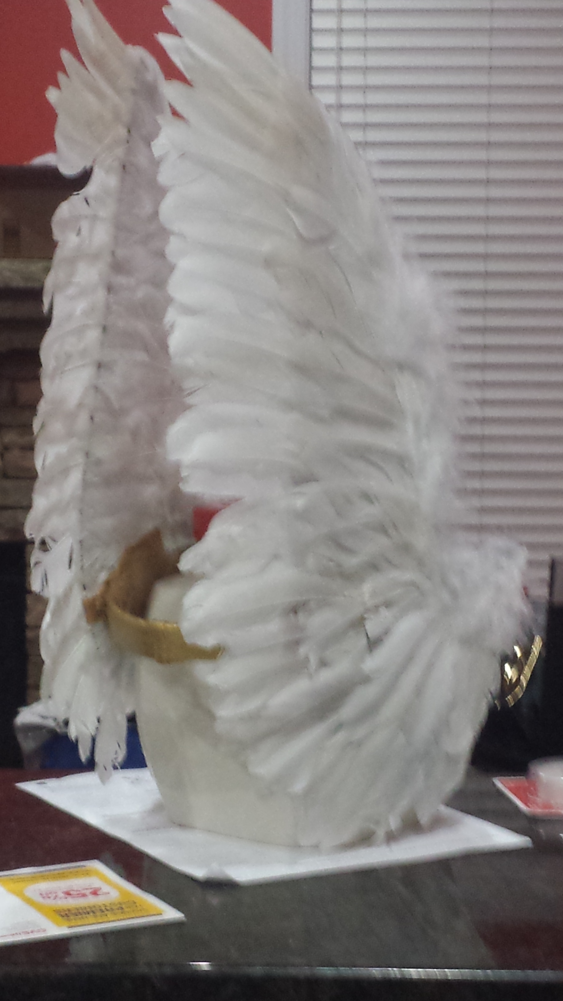 I take fuzzy pictures with my phone.