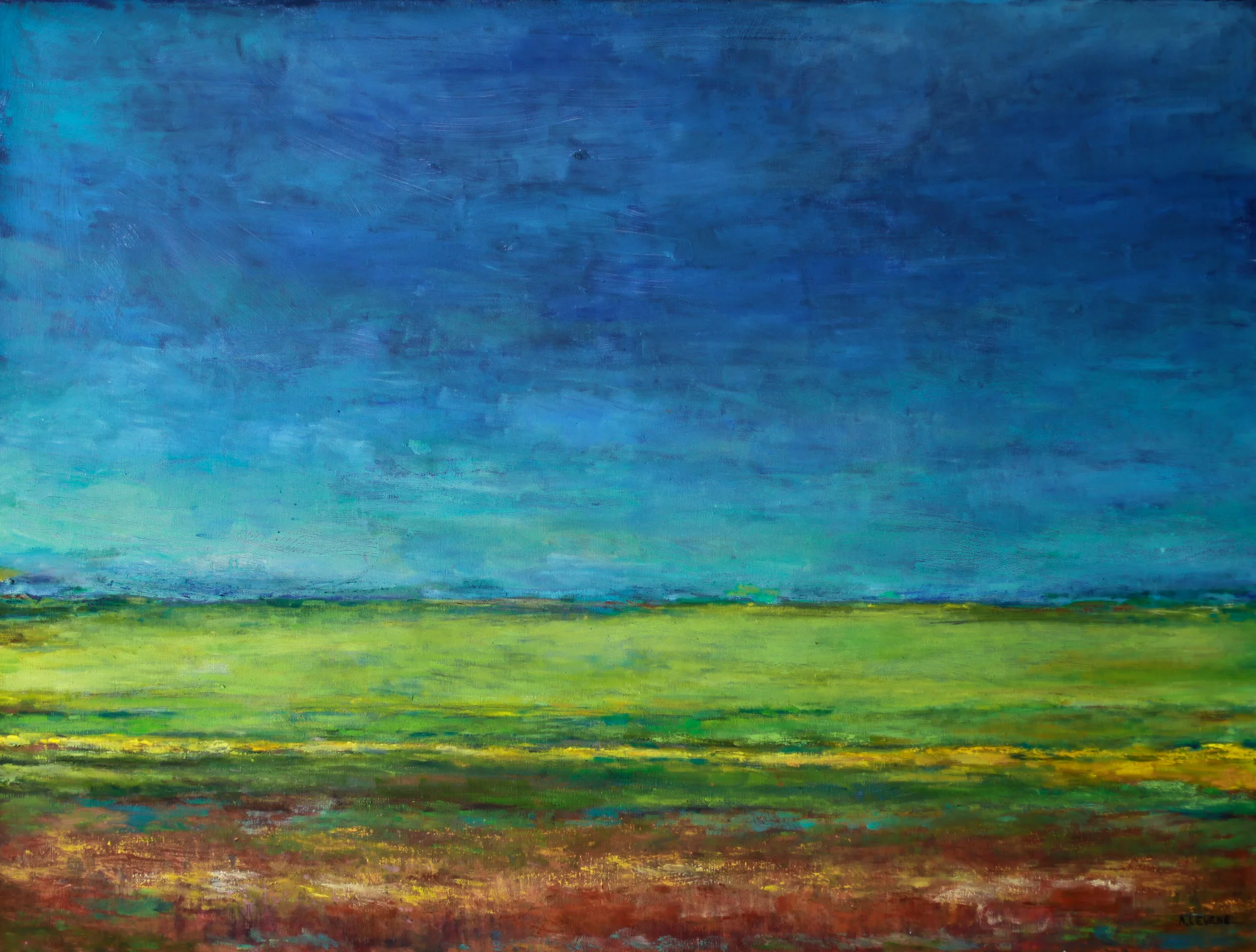 Canola Fields.jpg
