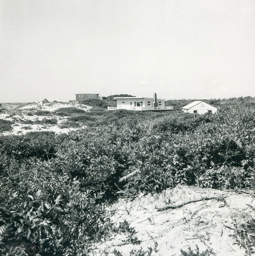 My parent's house before development in the Pines