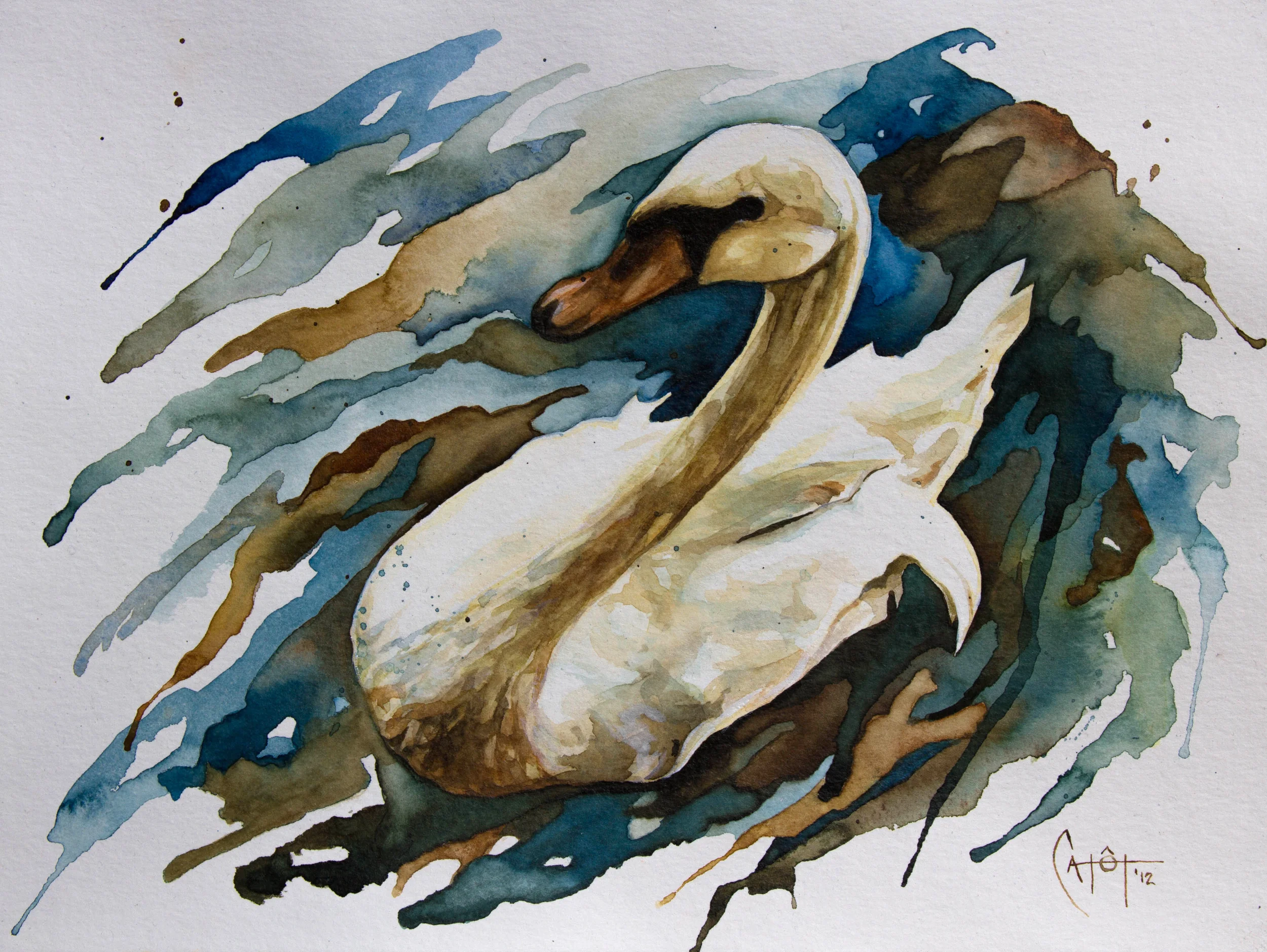 WC swan.jpg