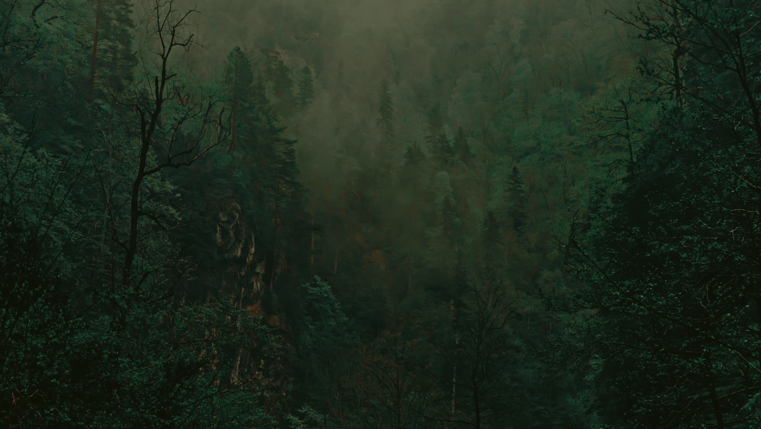 SEEKERS BANNER (1).png