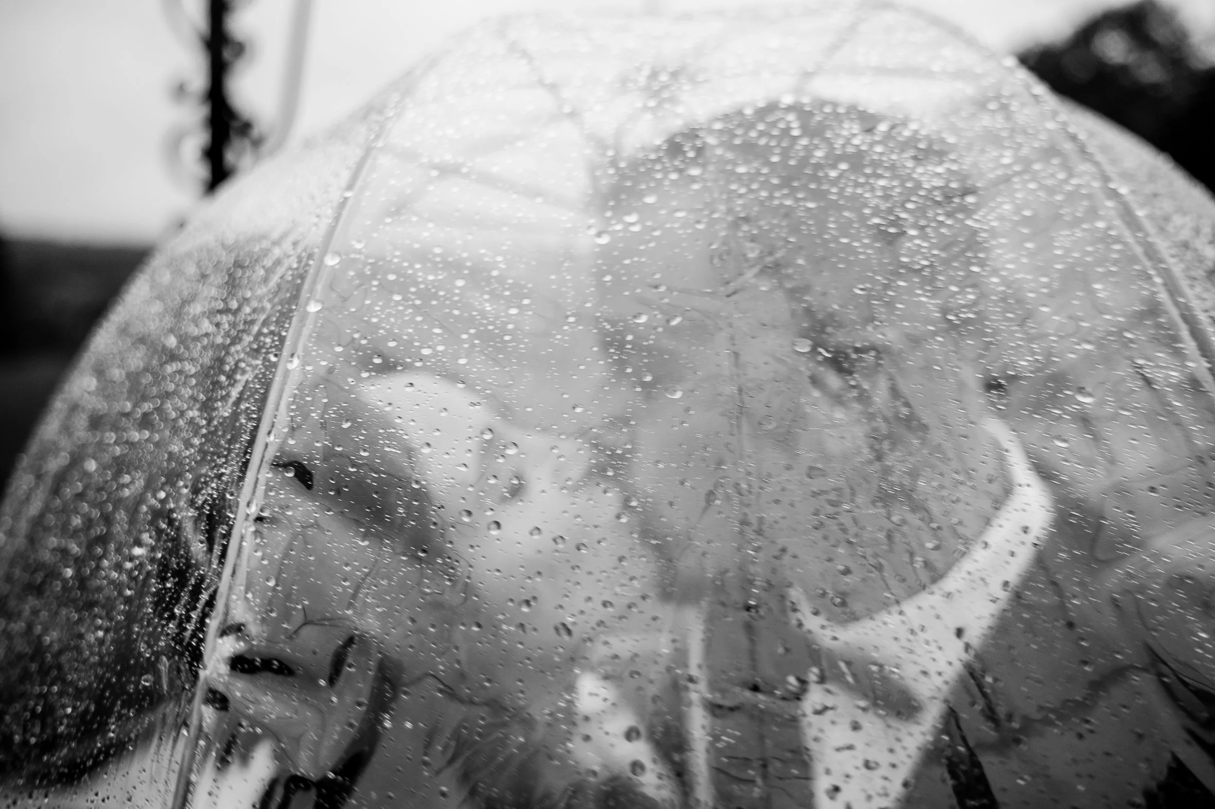 untitled-0234-2.jpg