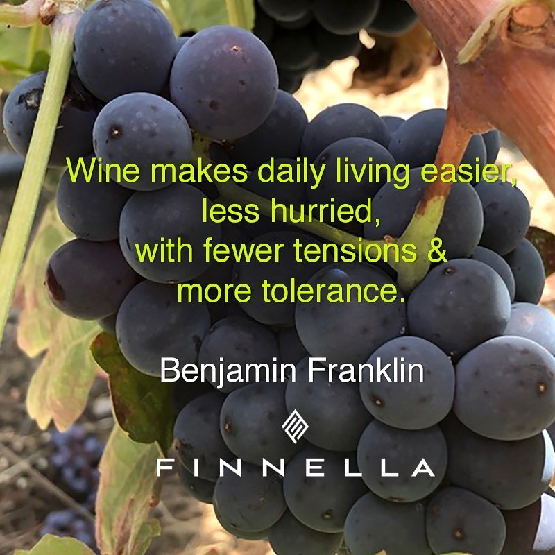 Shop Finnella. (link in bio)
#grapes #vine #vines #vineyard #winelovers #winetime #wineoclock #winetasting #winelife #wineglass #winecollection #drink #winecellar #Wine #Ros&eacute;

#Healdsburg #California #Vineyard #WineCountry #WineLover #Friends 
