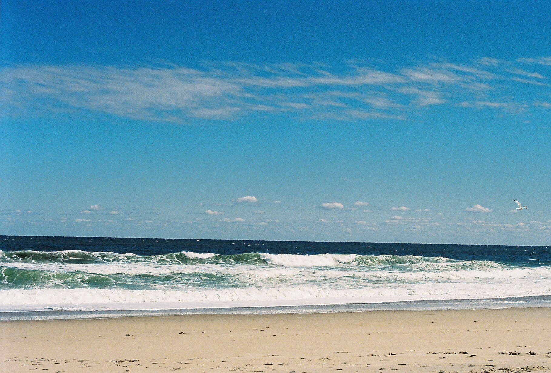  Huntington Beach, CA 