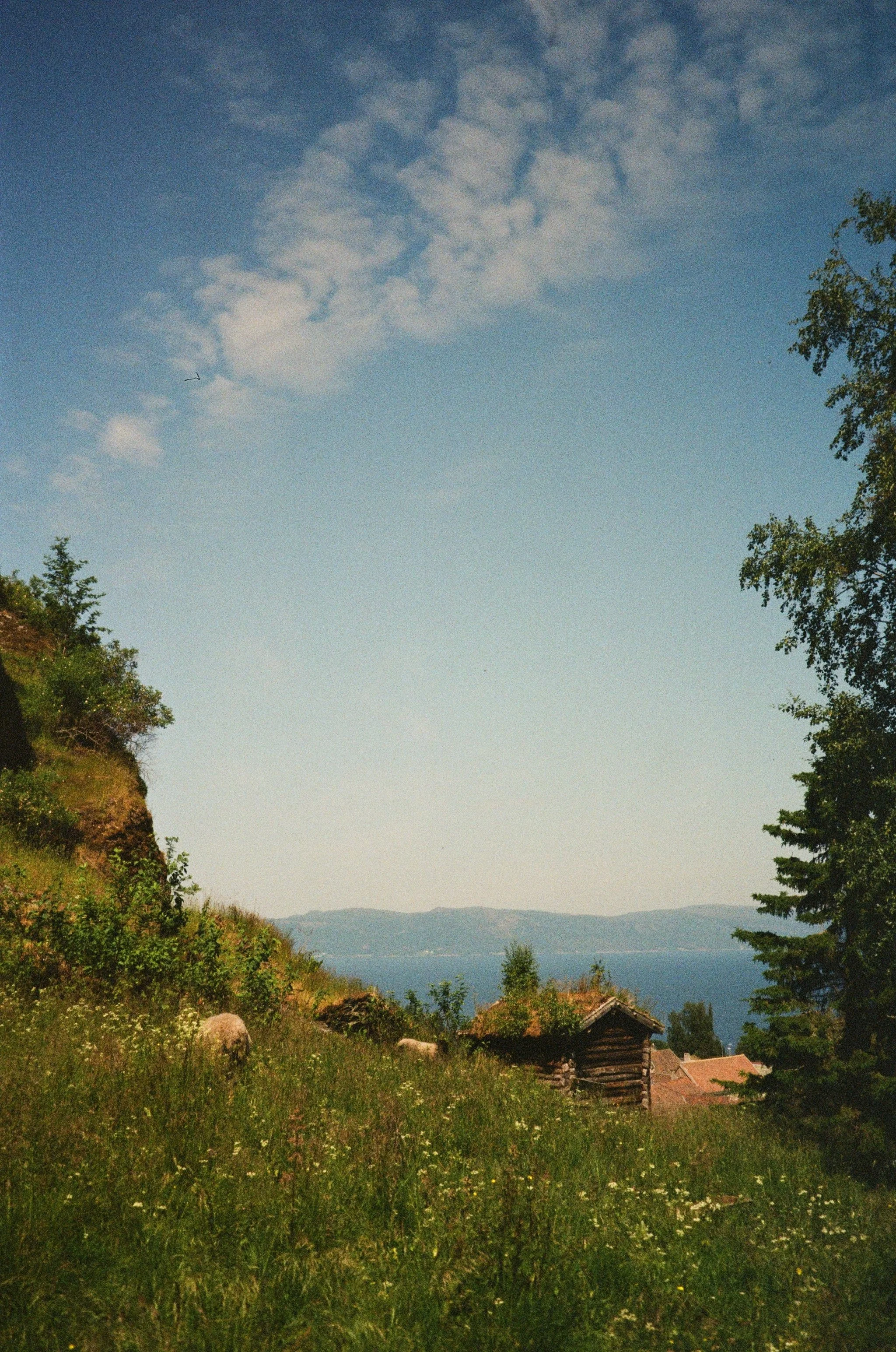 6JUNE.jpg