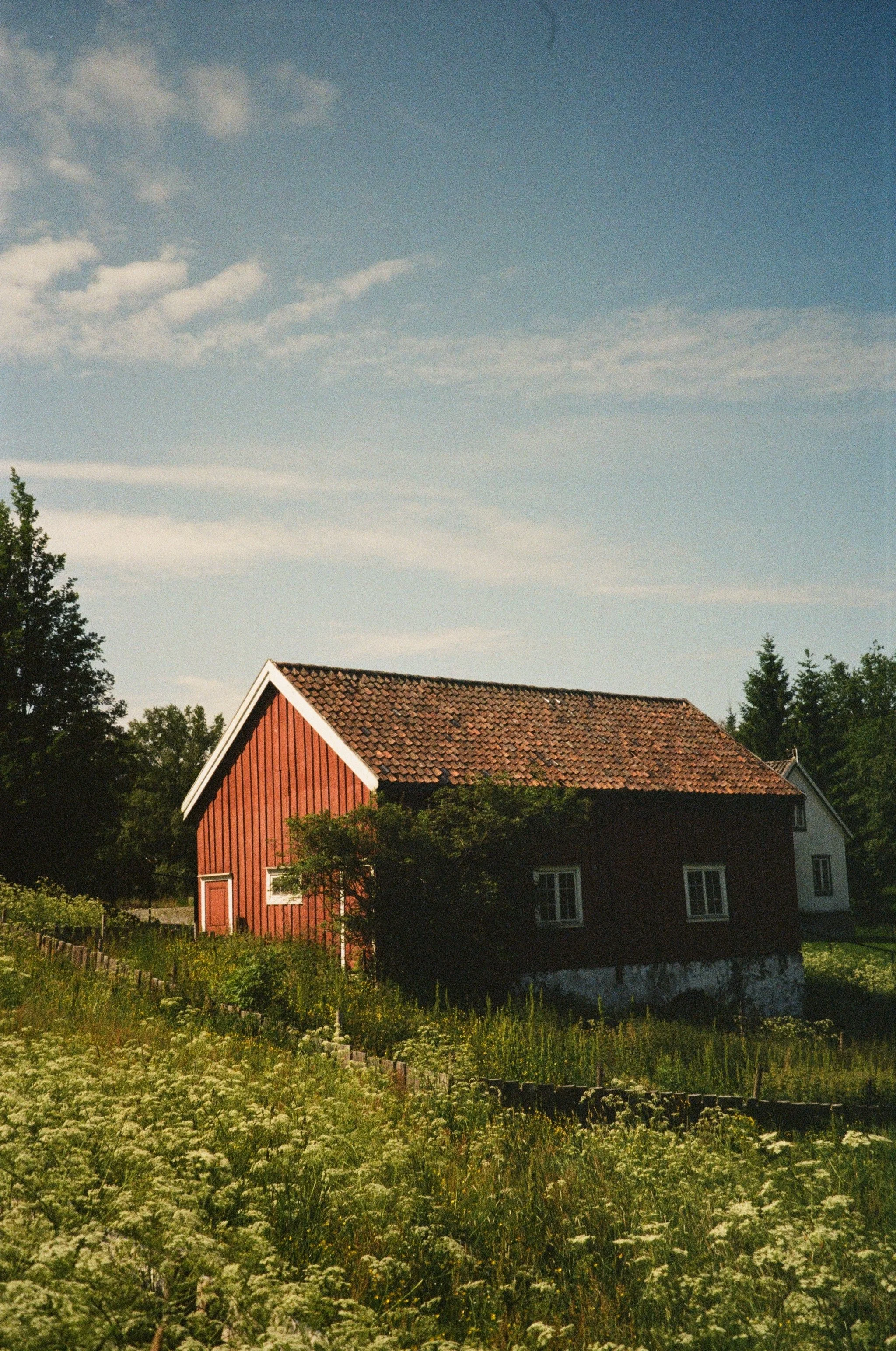 13BACKCOVER.jpg