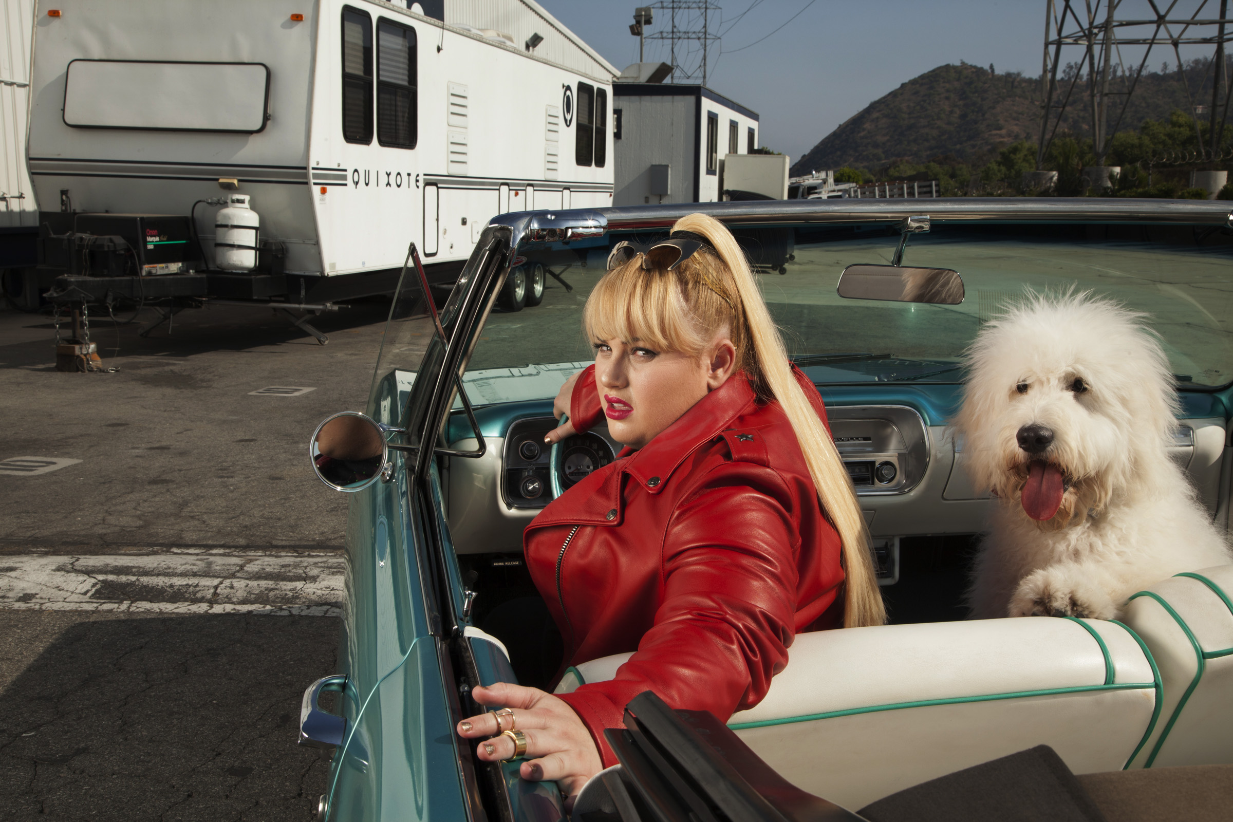   Rebel Wilson  