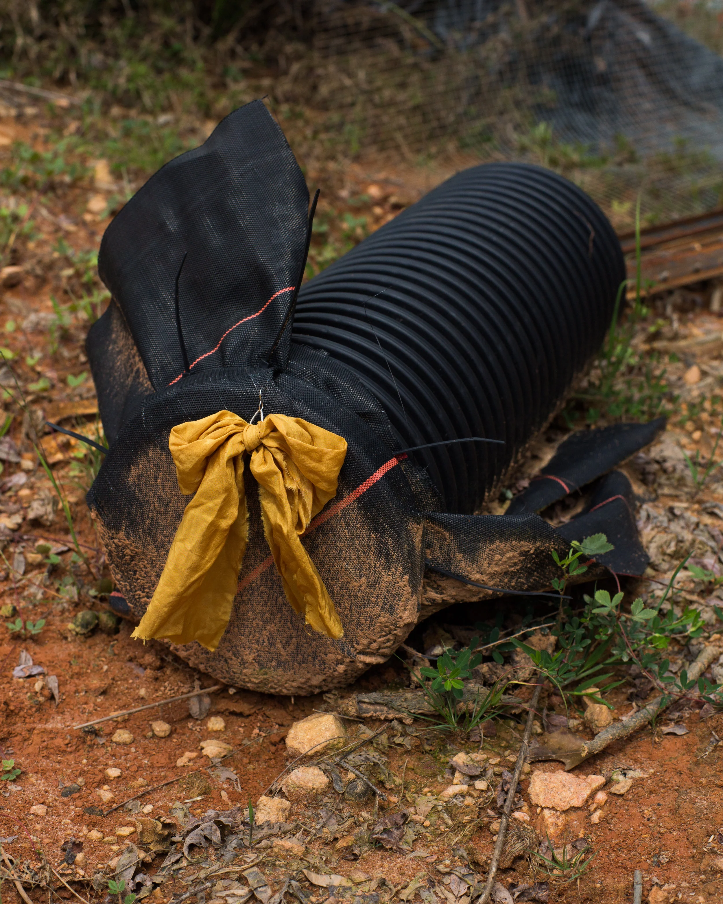   Bow earring , Osage orange on silk with linen and sterling silver   
