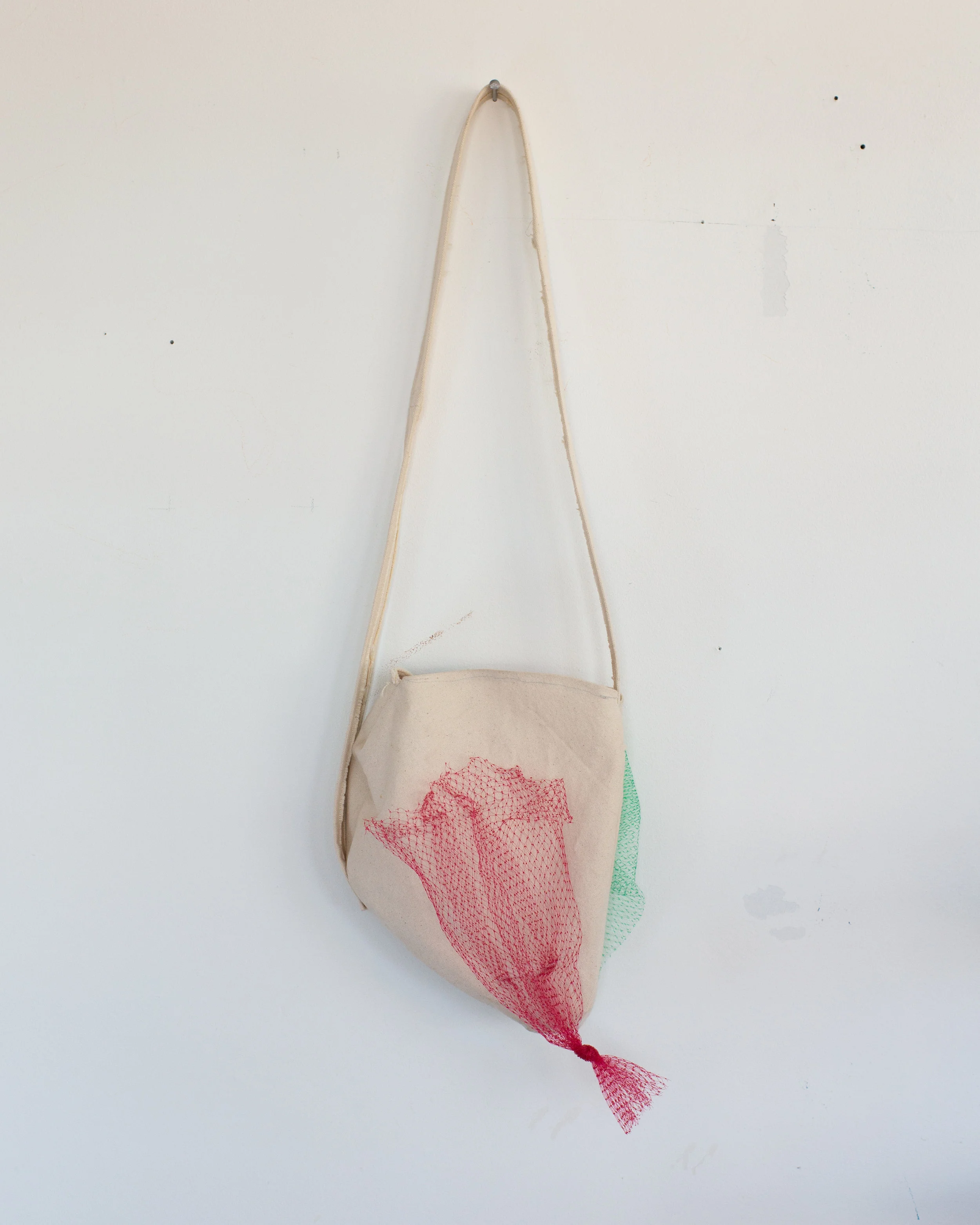   Bag for supermarket runs , Raw canvas with plastic produce bags   
