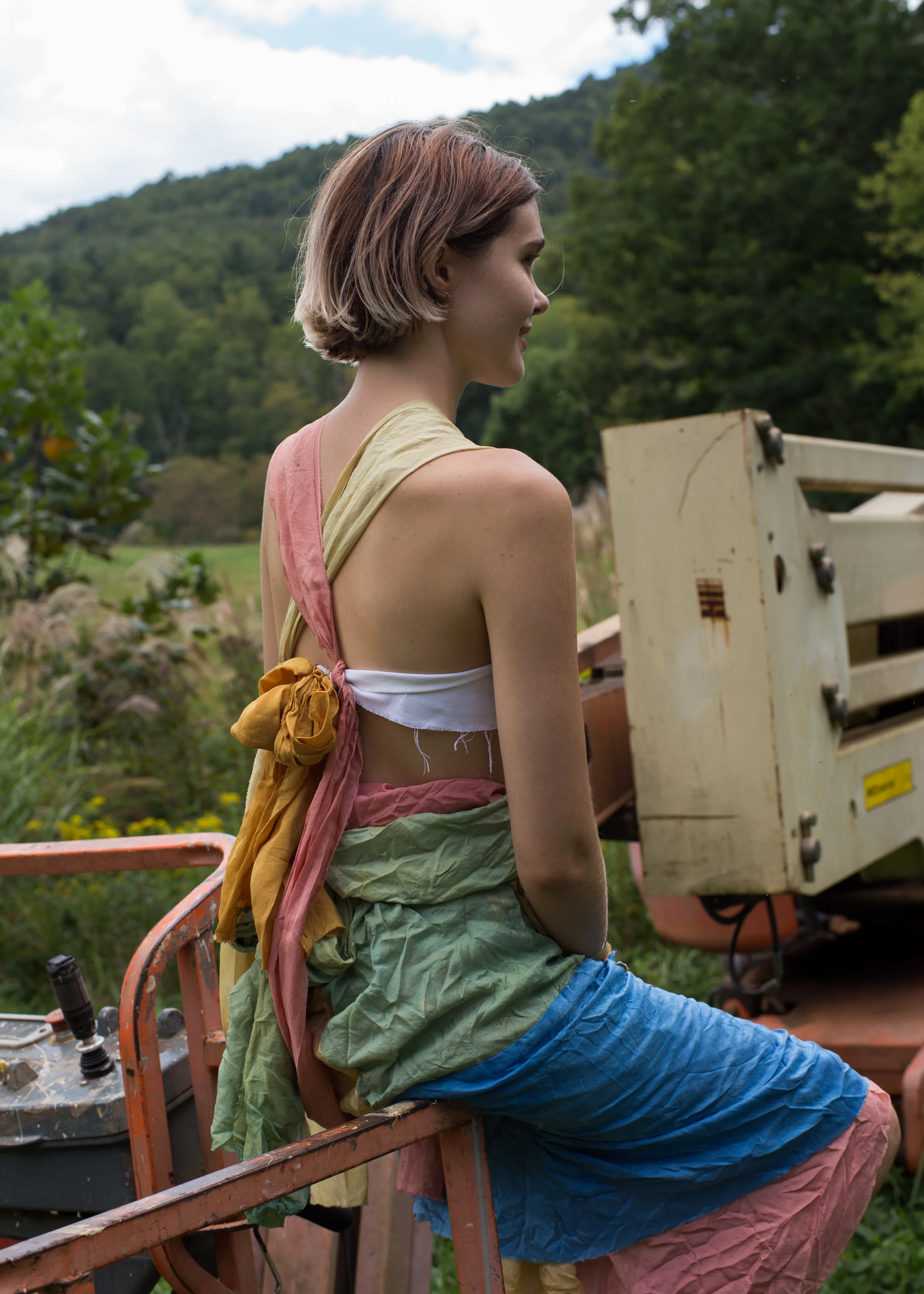   Bubbletop  +  Paraskirt , Osage orange, Goldenrod, Quebracho red, Lac on silk, White canvas + Goldenrod, Indigo, Quebracho red, Lac on silk     