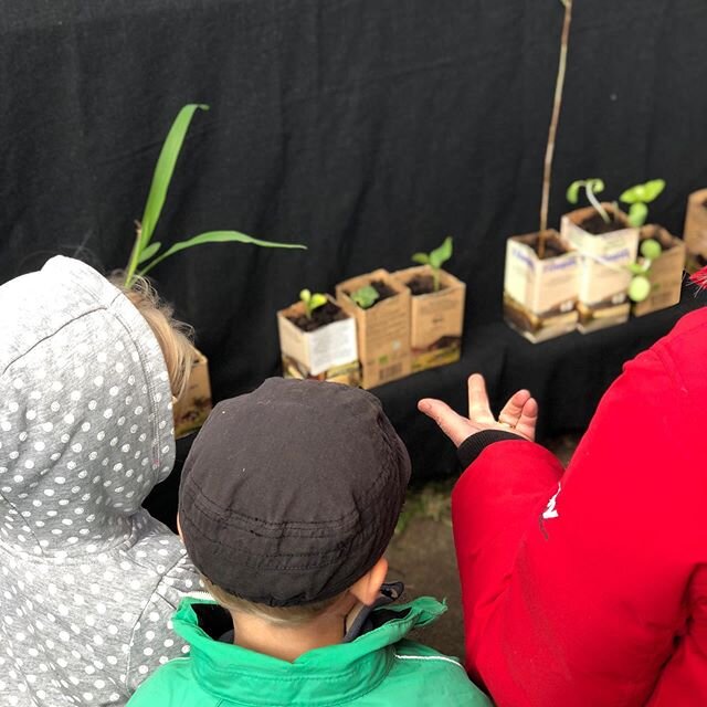 Vi fyller ständigt på barnens och vuxnas nyfikenhet att gemensamt få följa processen och dela med oss av erfarenheter samt, att vi undersöker, samtalar och funderar och skapar en gemenskap tillsammans.

Processen fortsätter.... #odlingprojekt#u