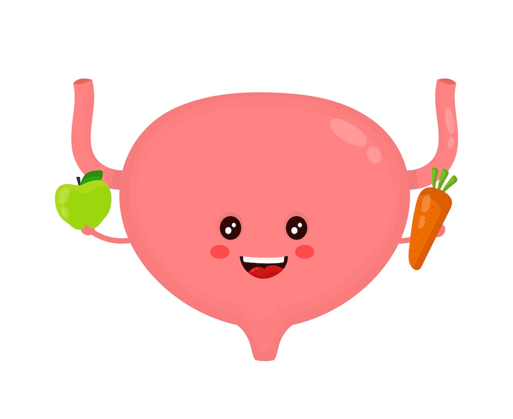 healthybladder.jpg