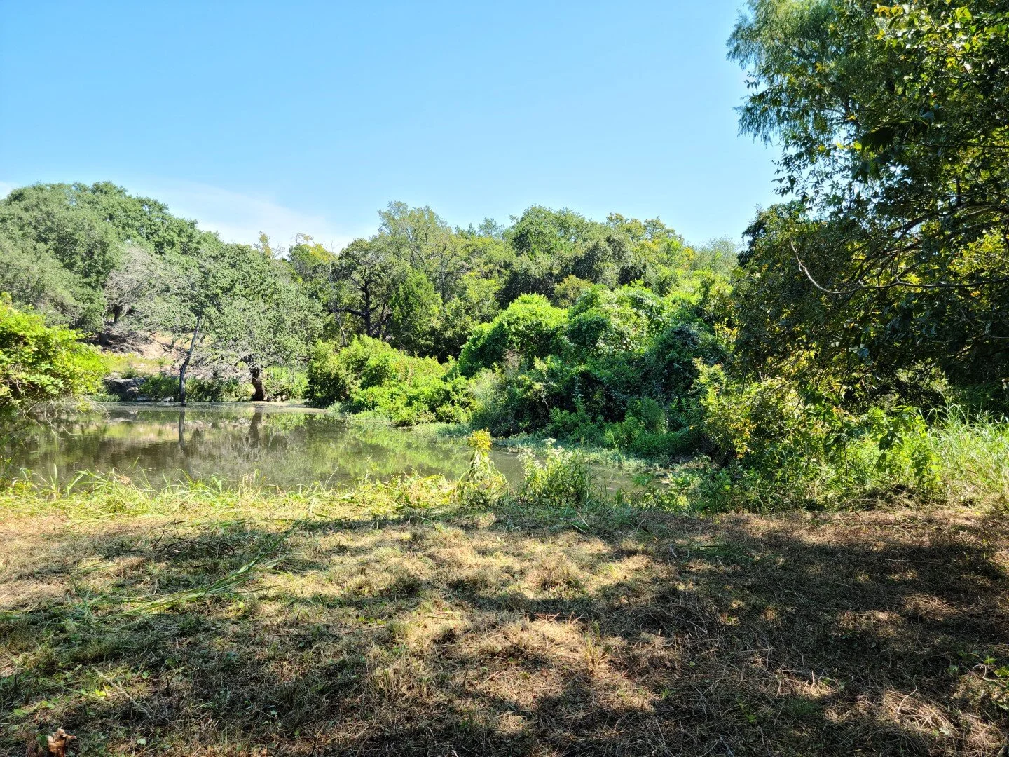 SOLD! Cedar Hollow Road, TX — LeadStrong Properties
