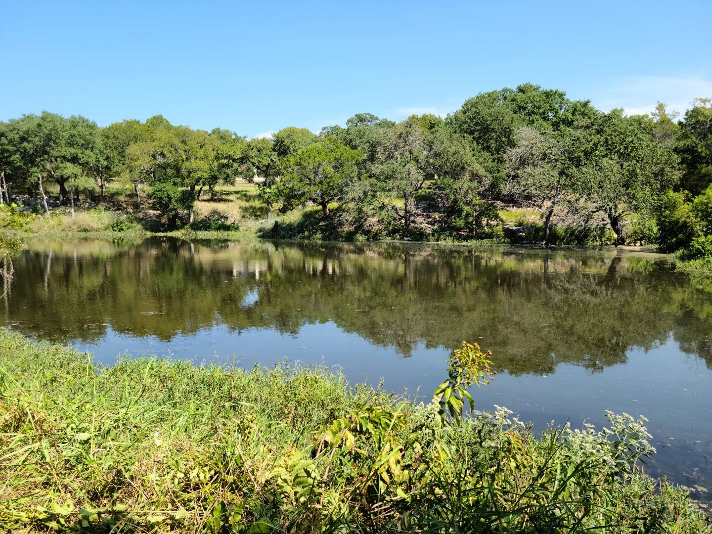 SOLD! Cedar Hollow Road, TX — LeadStrong Properties