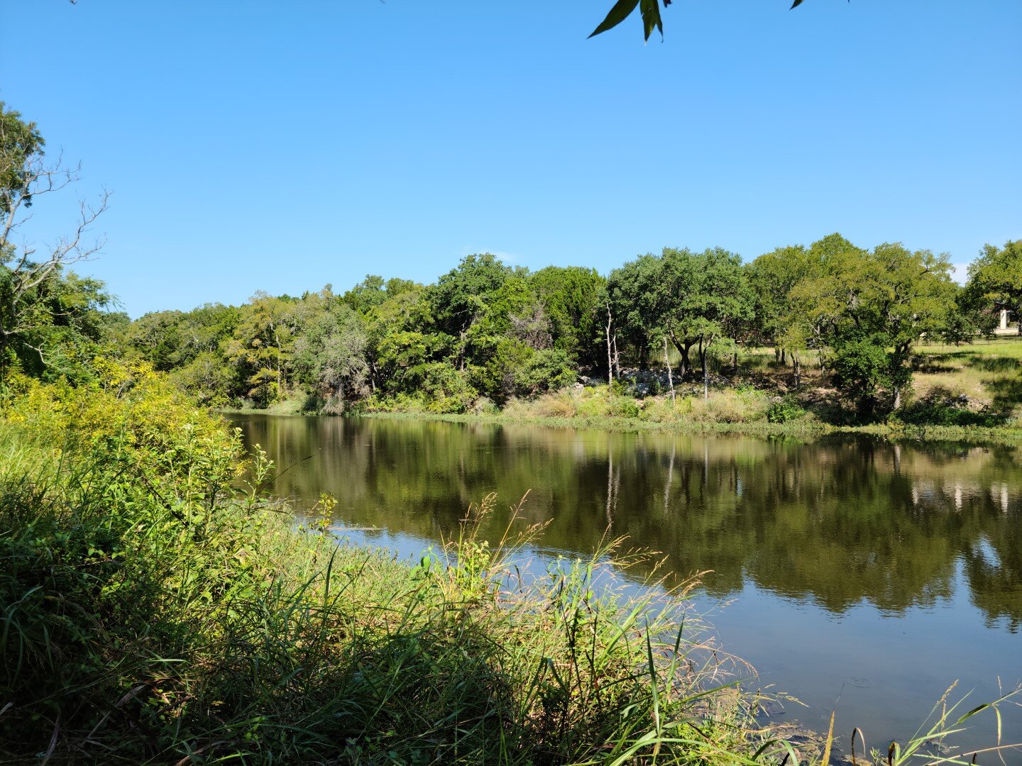 SOLD! Cedar Hollow Road, TX — LeadStrong Properties