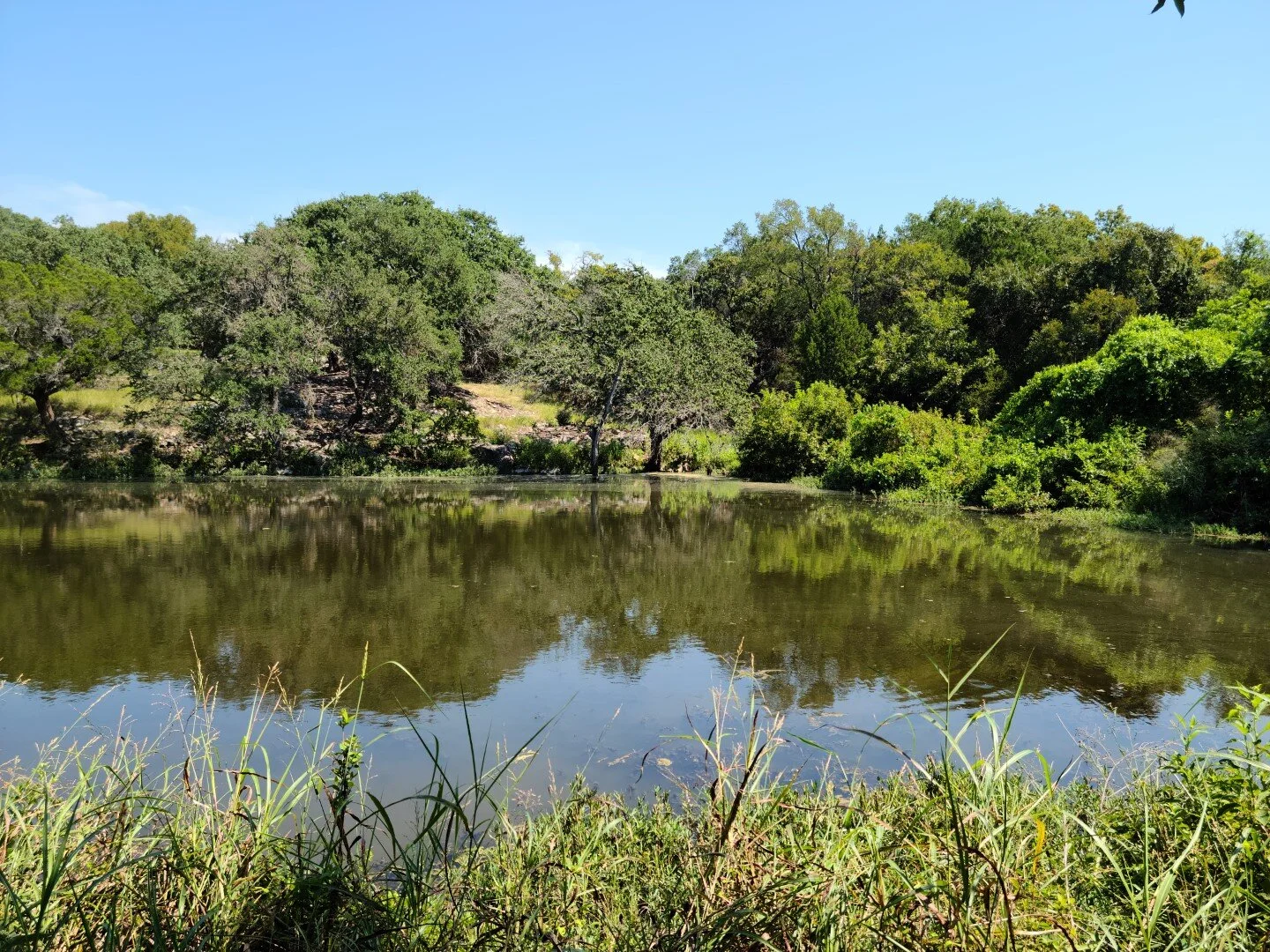SOLD! Cedar Hollow Road, TX — LeadStrong Properties