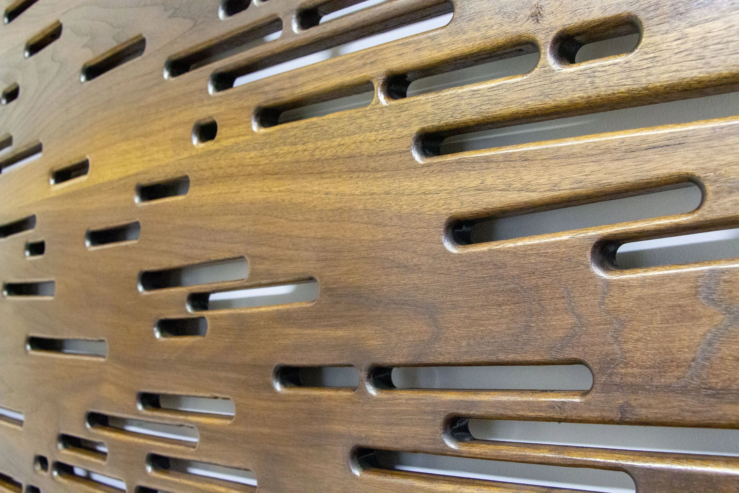 Cloudy day on a Walnut. Close up.jpg