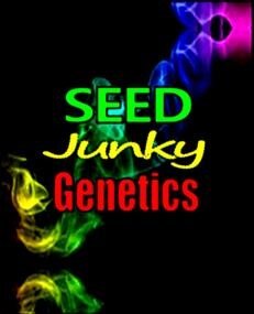 Seed Junky Genetics - California