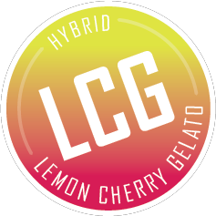 LEMON CHERRY GELATO