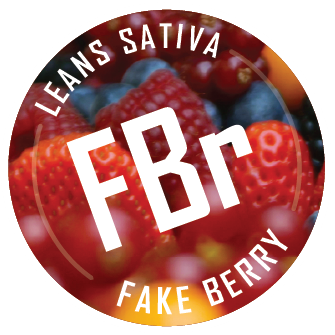 FAKE BERRY