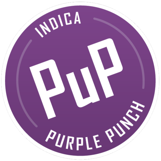 PURPLE PUNCH