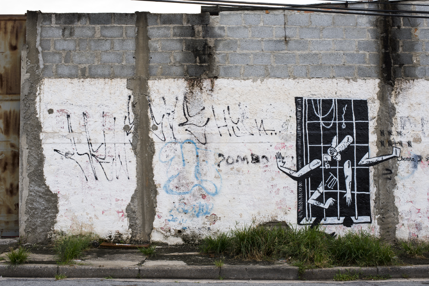 _DSCerib5262web.jpg
