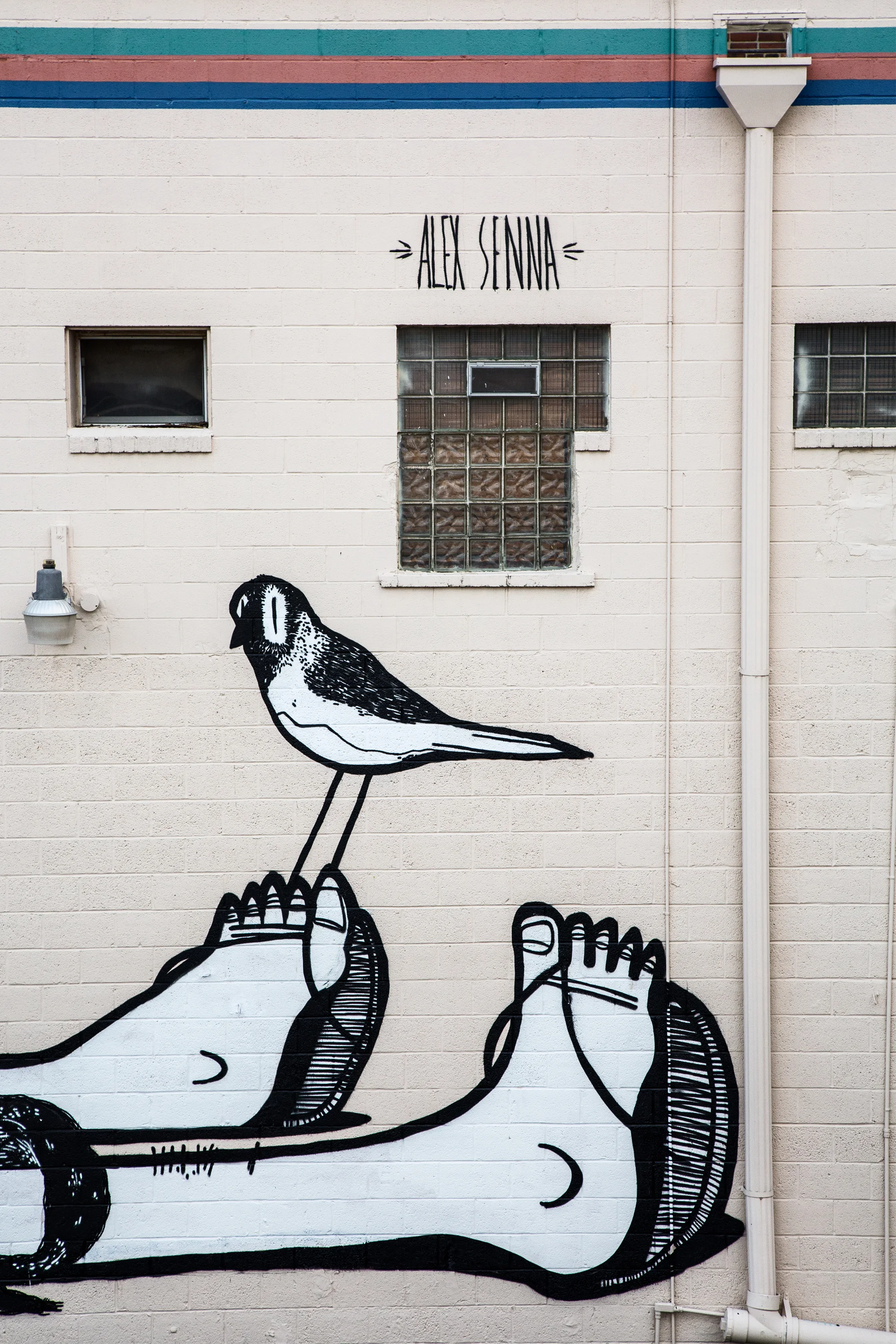 _18A6736.jpg