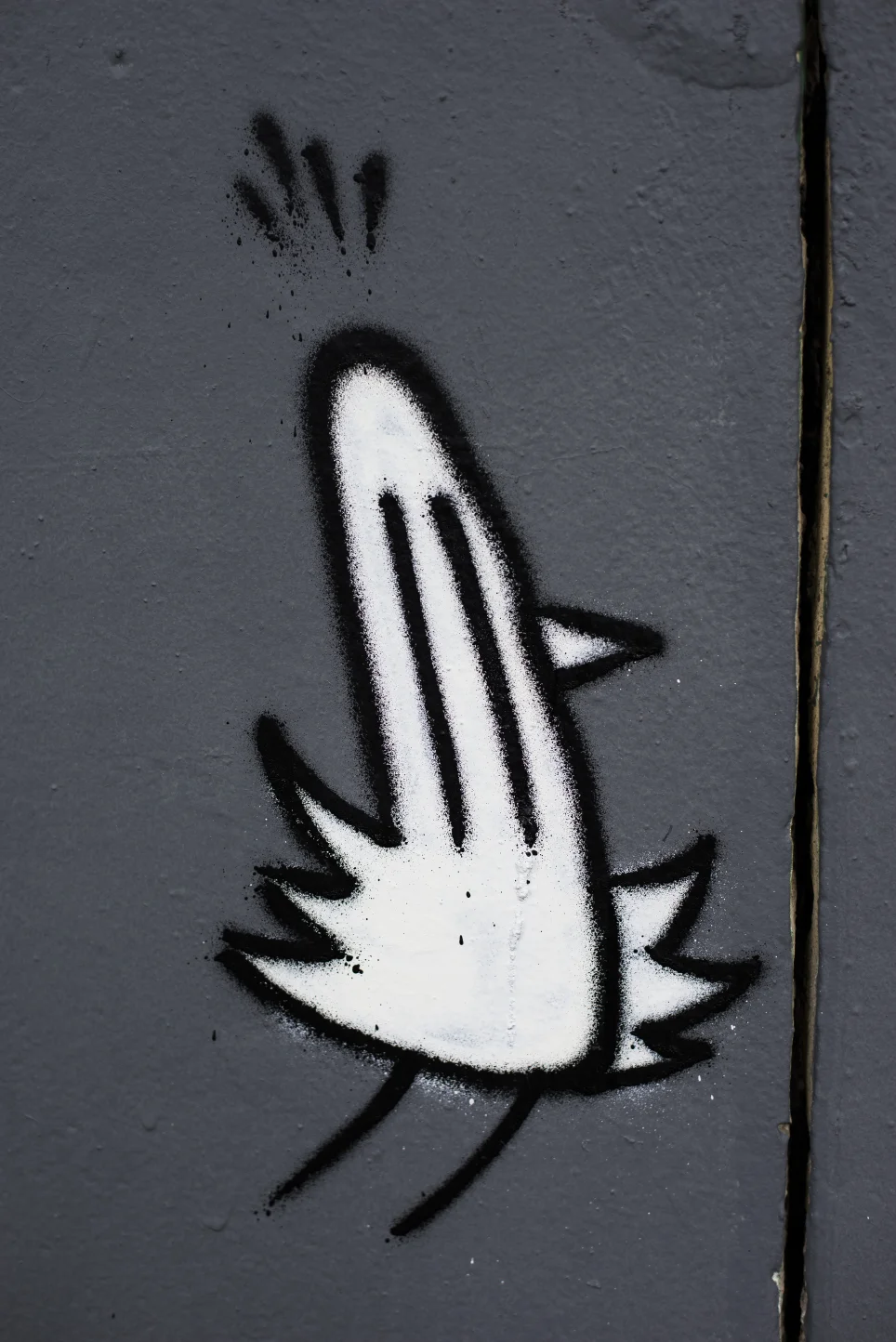 _DSCerib5521web.jpg