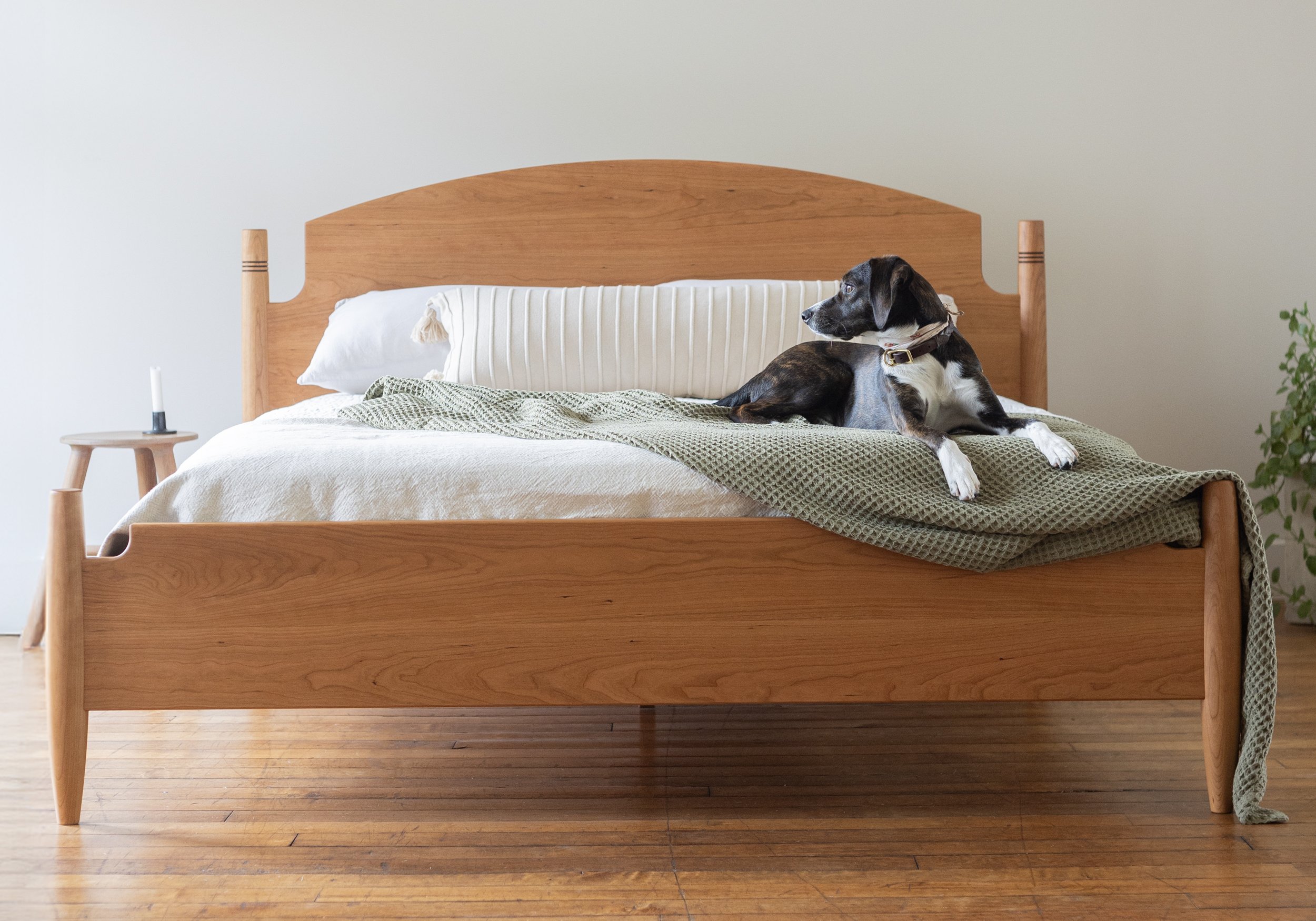 NewCollarGoods_TipladyBed_Cherry_C.jpg