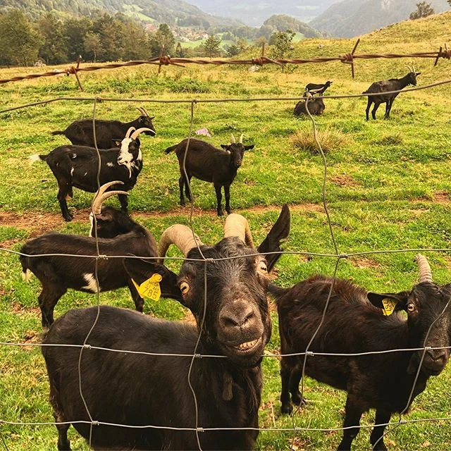 happy to see you too, amigo.
#controlforsmilerscantbebought