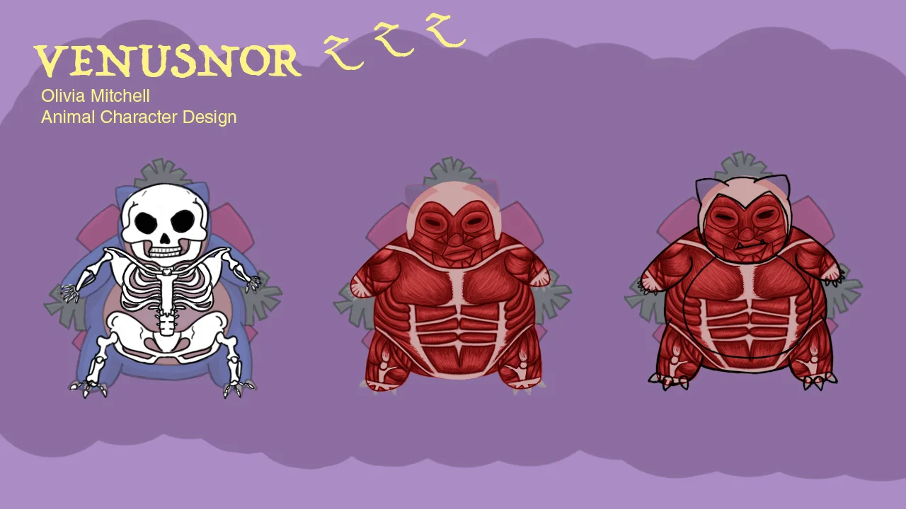 venasnor_bones-muscles.jpg