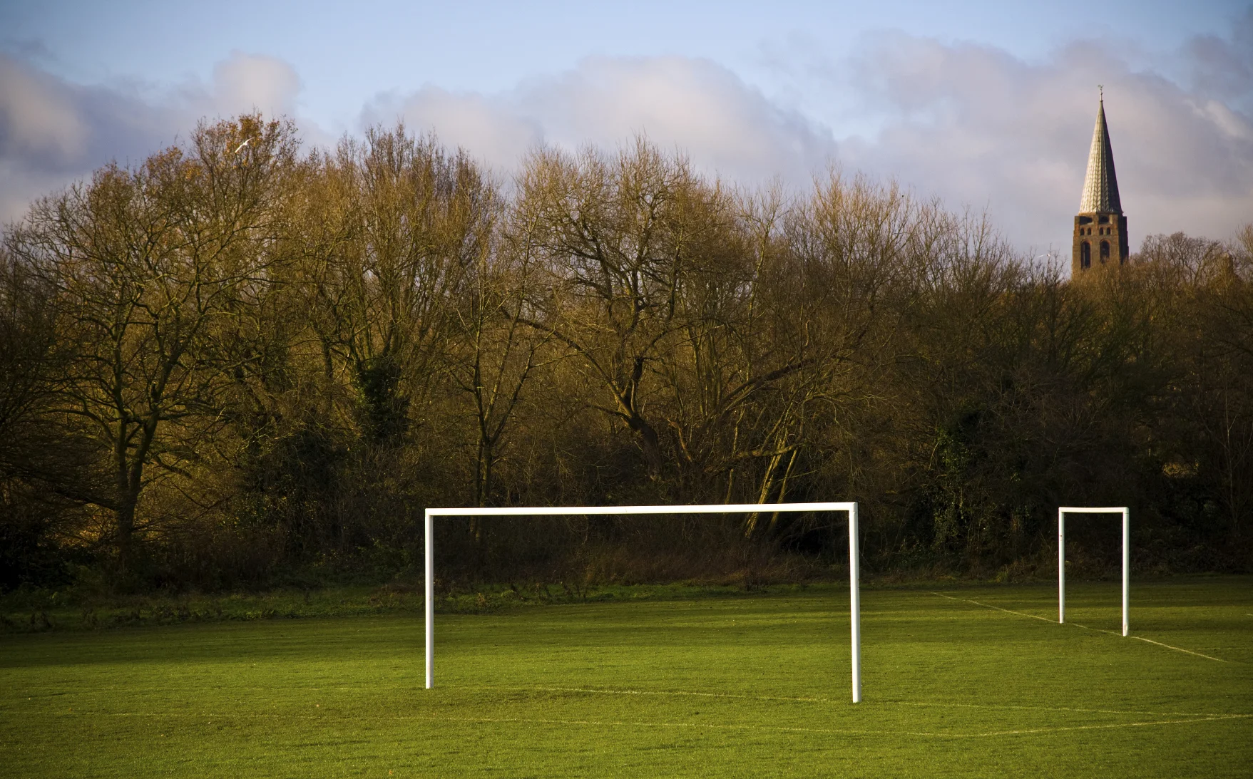 iStock_000077773873_Medium.jpg