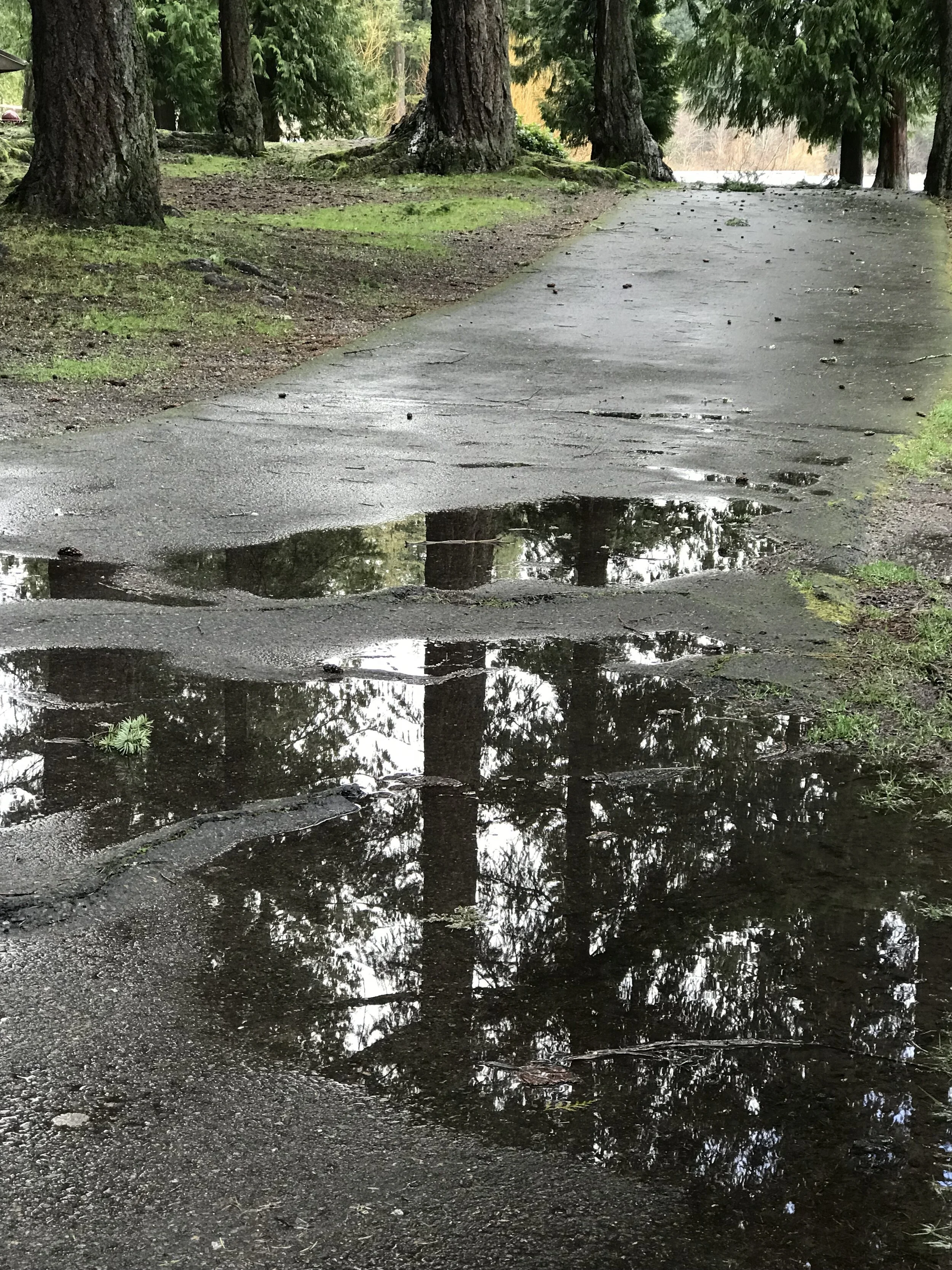 How to Avoid Some of Life's Puddles