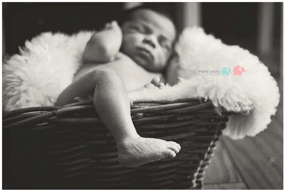 Newborn Maternity Photography Portland Oregon