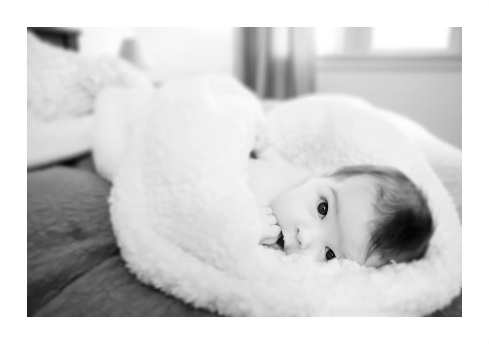 Newborn Maternity Photography Portland Oregon