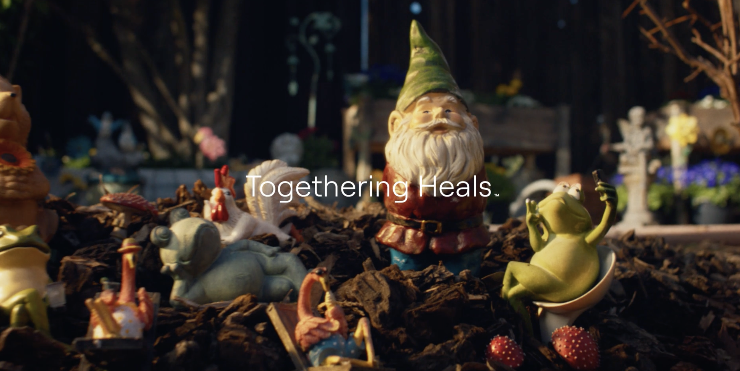 El Camino Health_Gnome