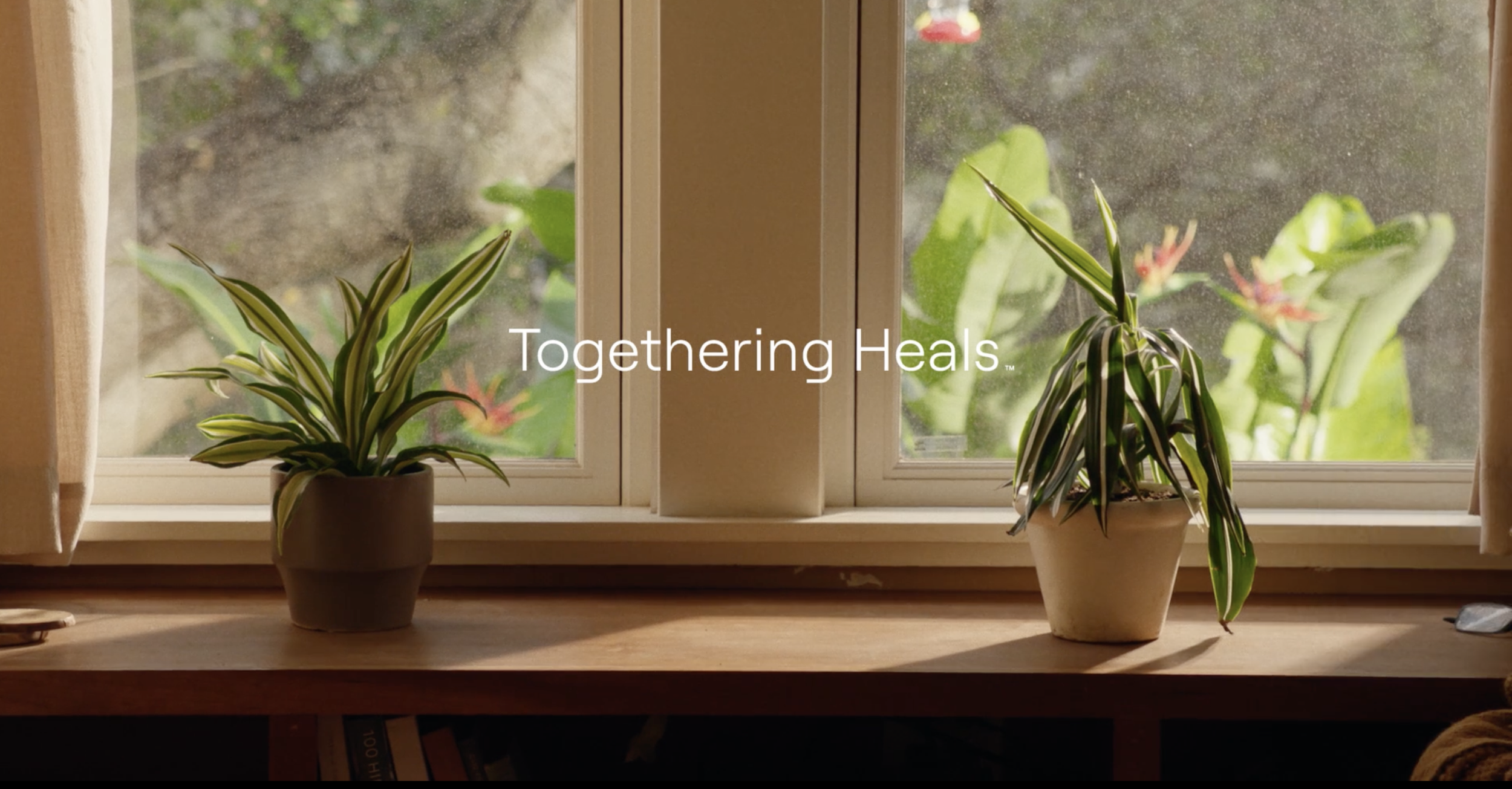 El Camino Health_Plant
