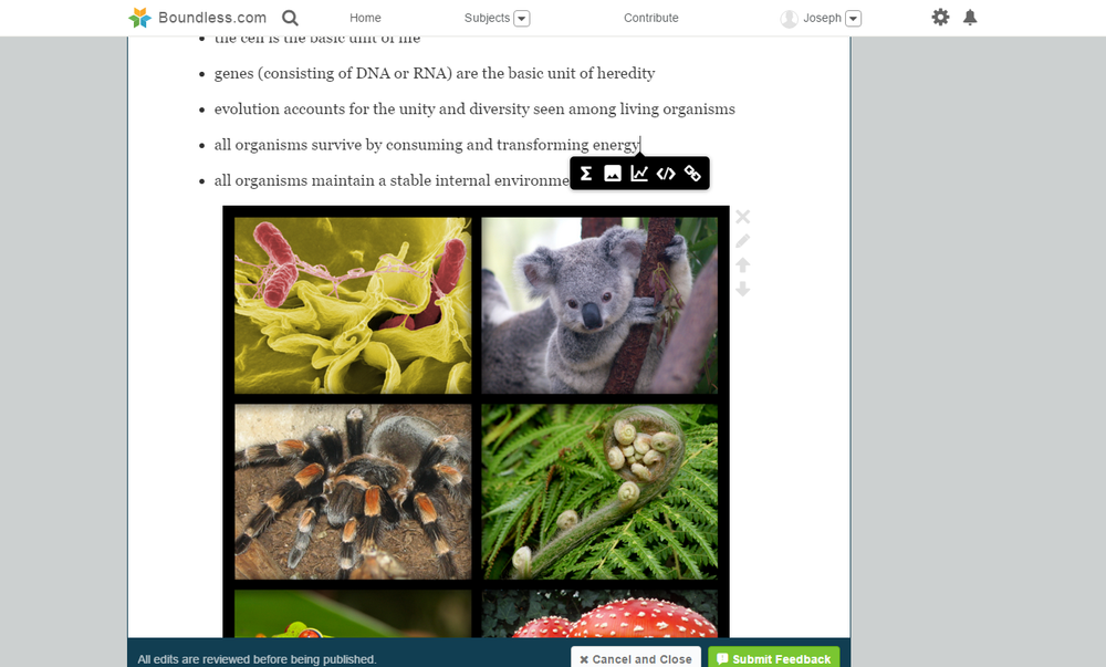  Inline editing, and external content embedding was built into our edit mode. 
