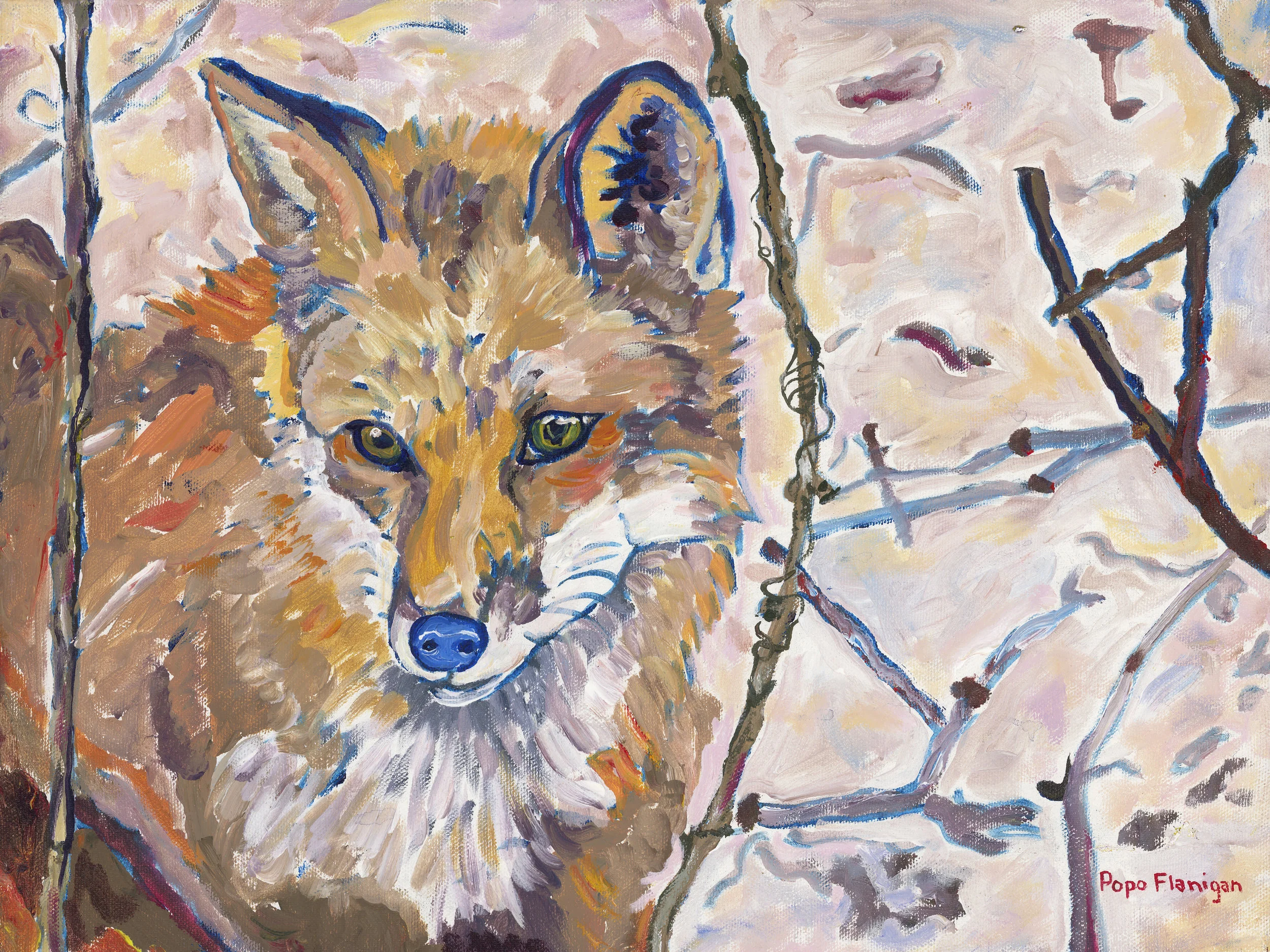 Brigantine Fox