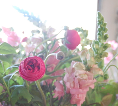 Screen Shot 2018-03-27 at 3.29.50 PM.png