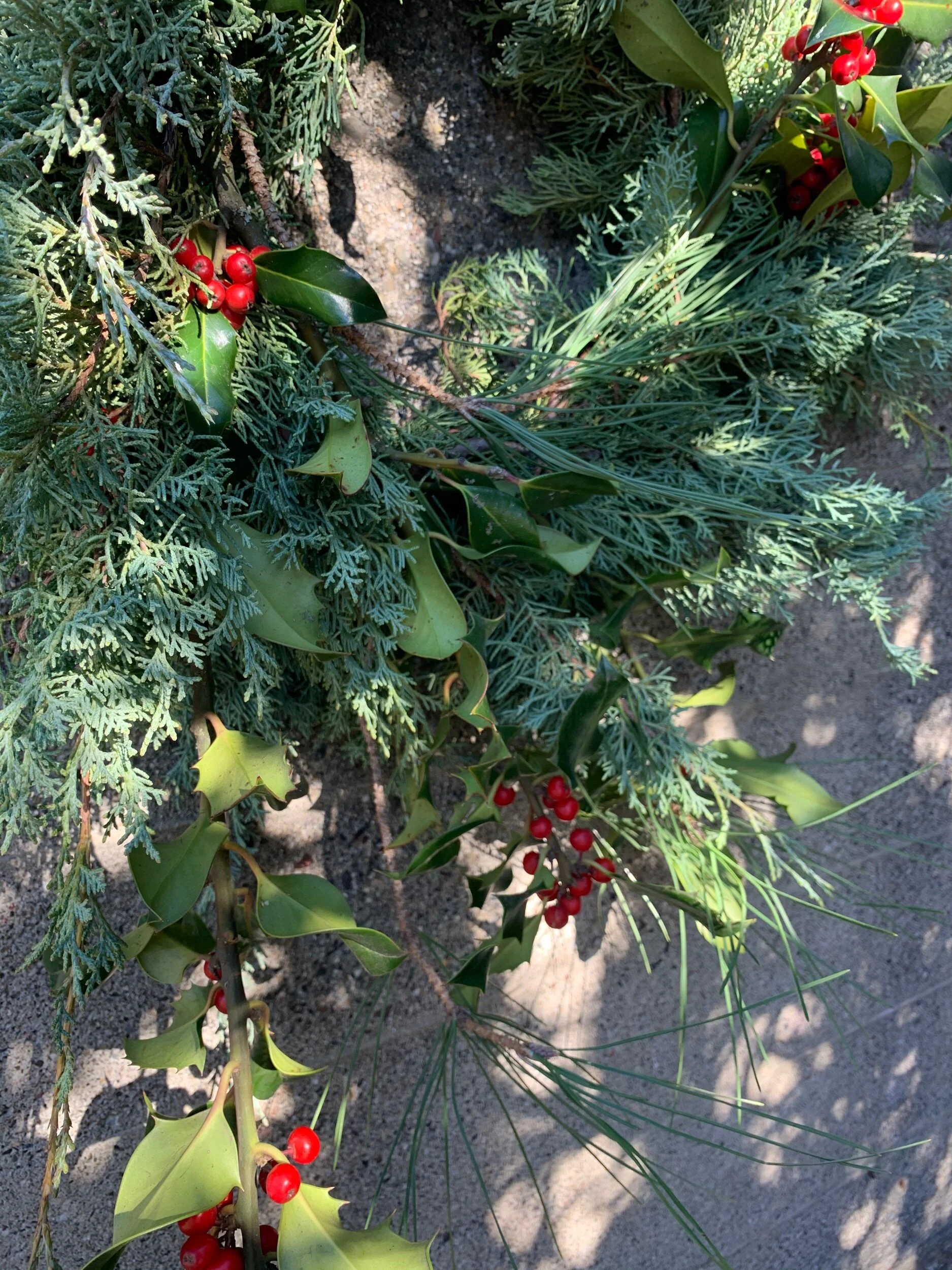 1E487564-D7F2-44EE-8771-7DBB1753BCD2