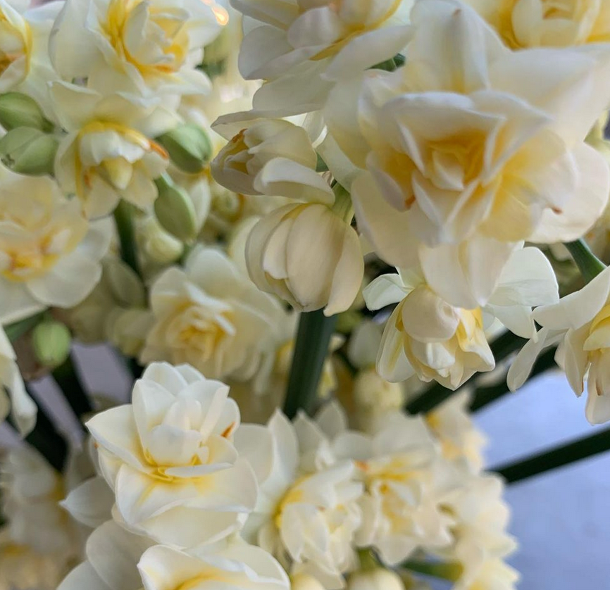 Screen Shot 2021-01-26 at 2.02.48 PM.png