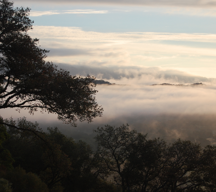 Screen Shot 2021-02-06 at 10.59.42 AM.png