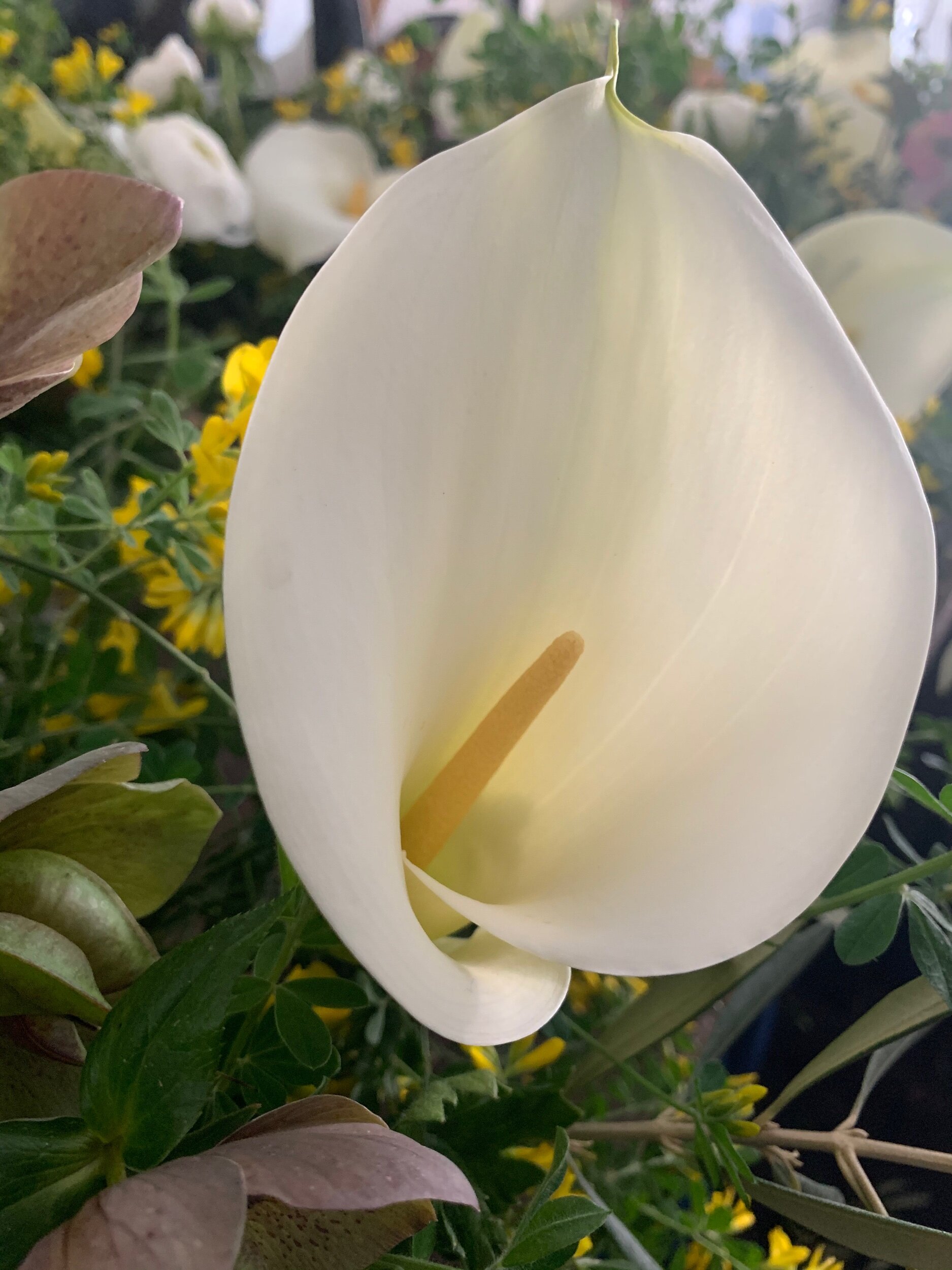 C77D0E07-C93C-4CC2-B96E-0B81D00226CB