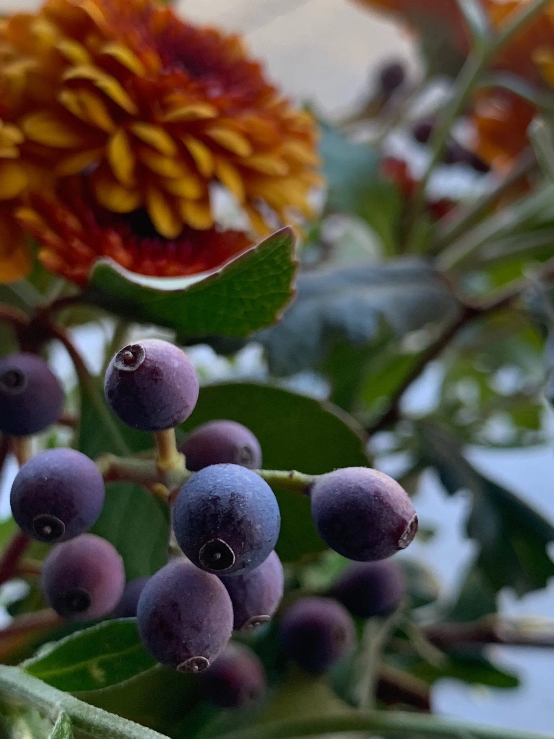 84DBBFBA-0620-4C99-8E66-66D9FF54A32C