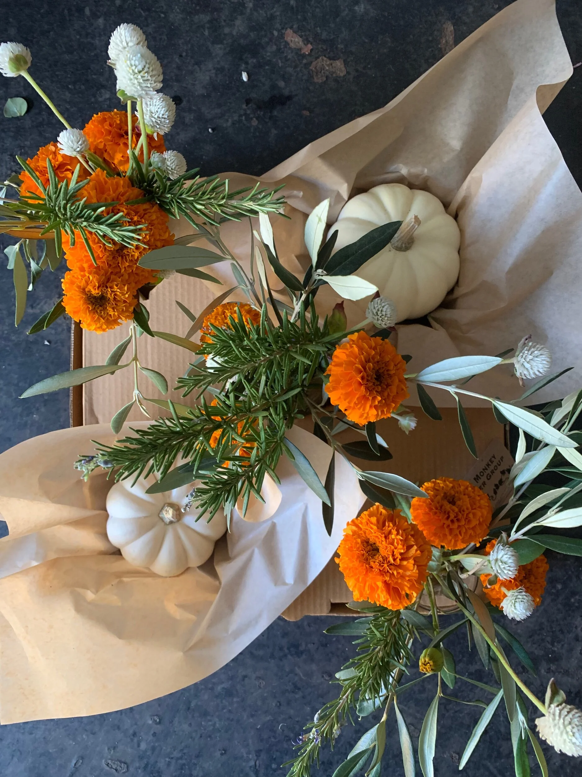 8B030D96-3C97-46A7-827D-4BB42356DE77