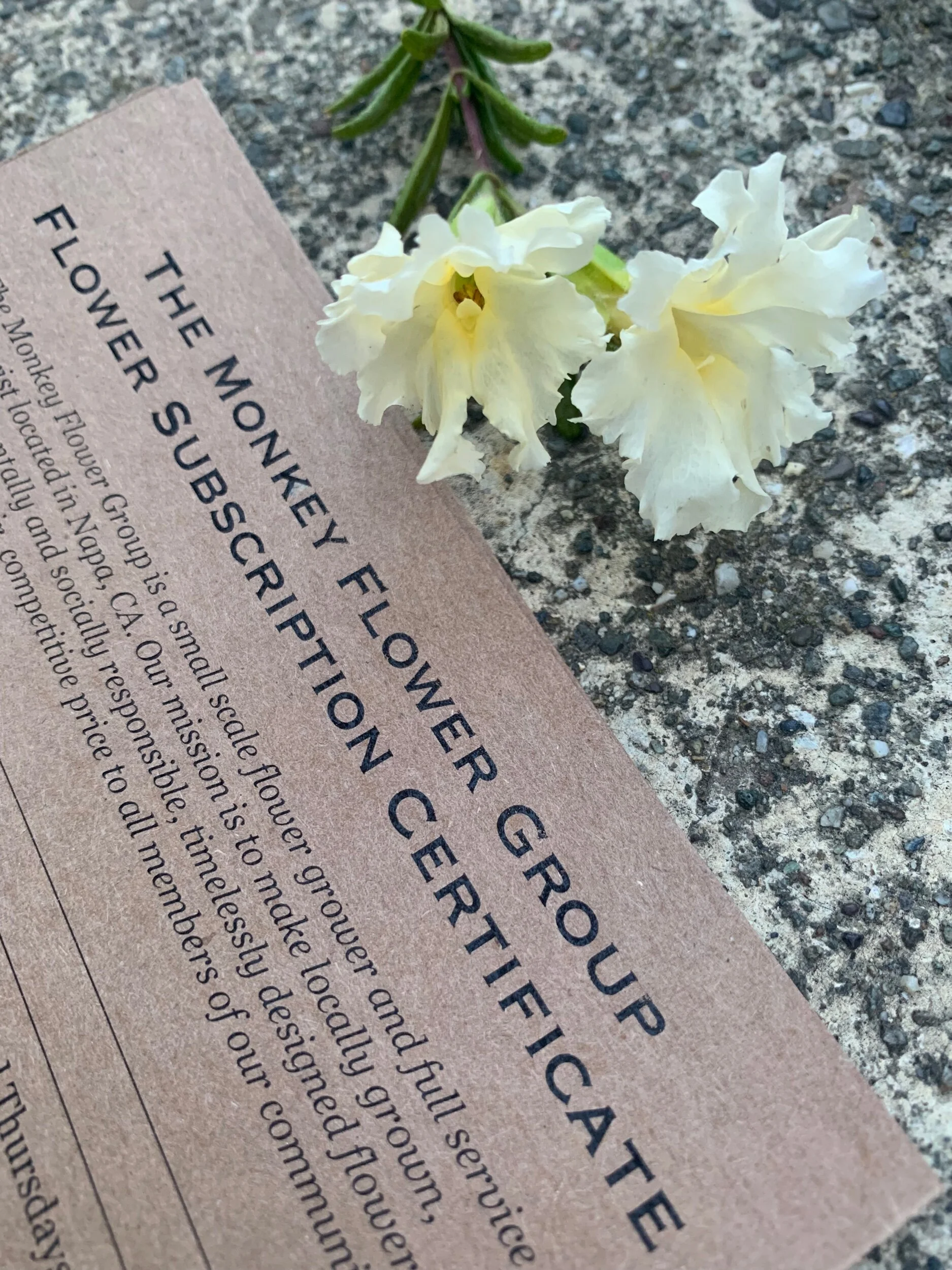 7686AFCF-D4C7-4879-A741-2F9CE6923063